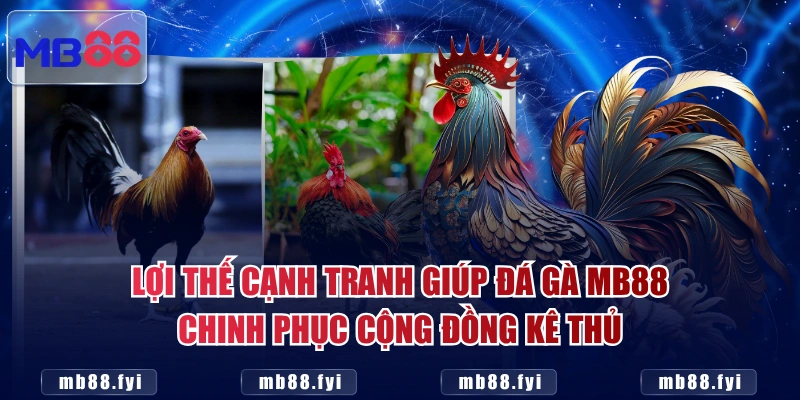 Lợi thế cạnh tranh giúp đá gà MB88 chinh phục cộng đồng kê thủ