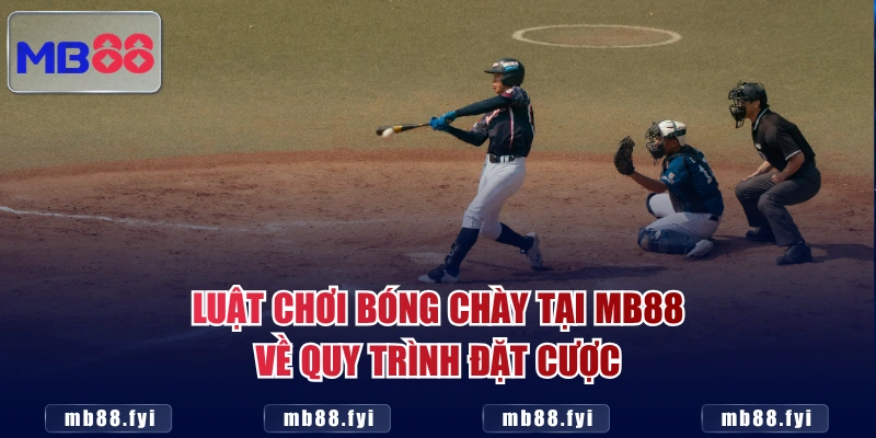 Luật chơi bóng chày tại MB88 về quy trình đặt cược